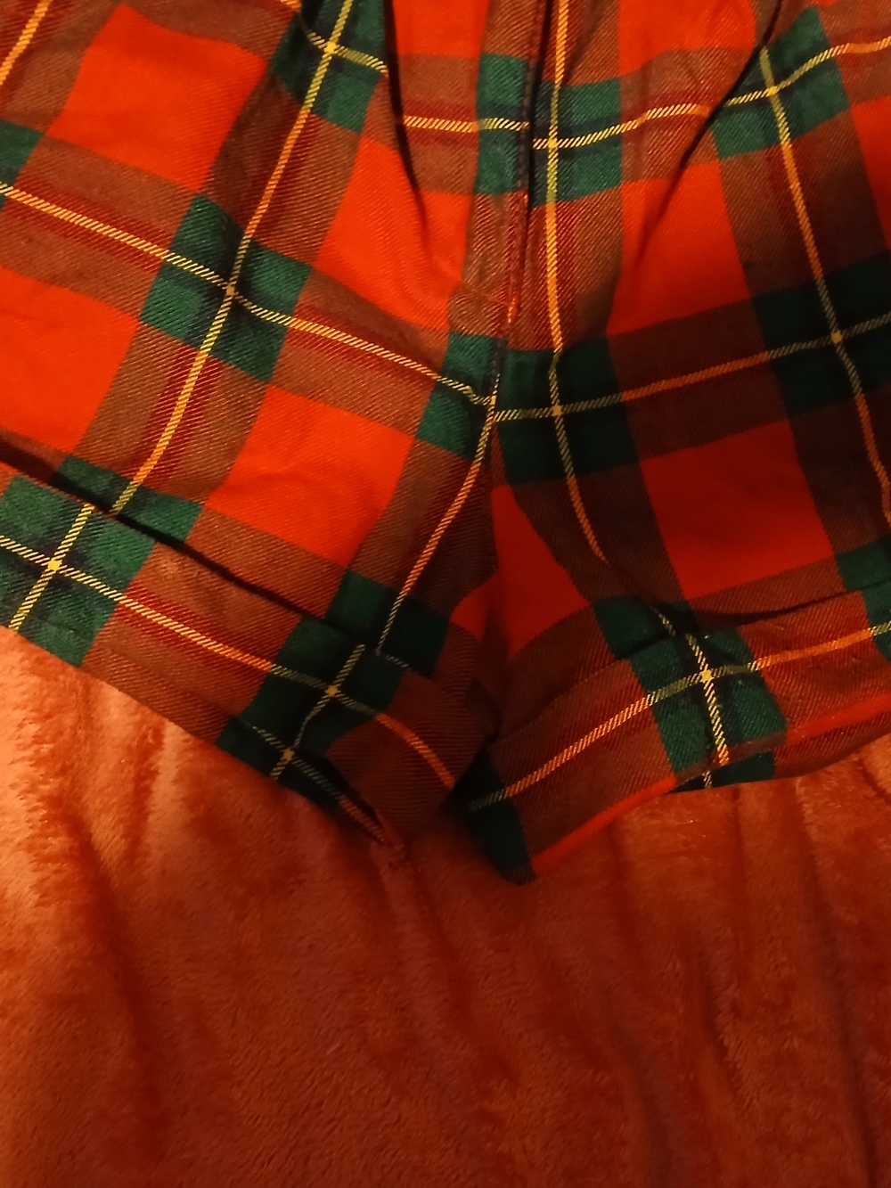Plaid Red & Green Women's Shorts